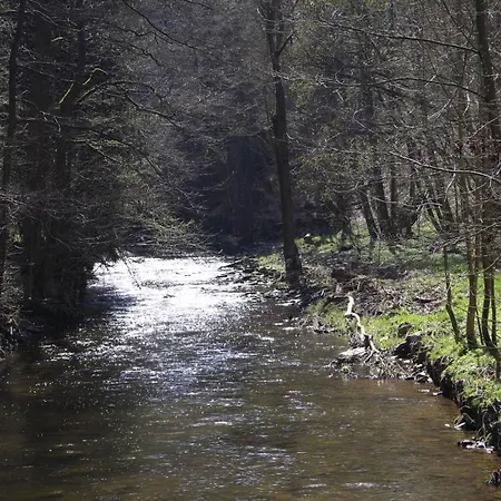 Waldfrieden Elsterberg