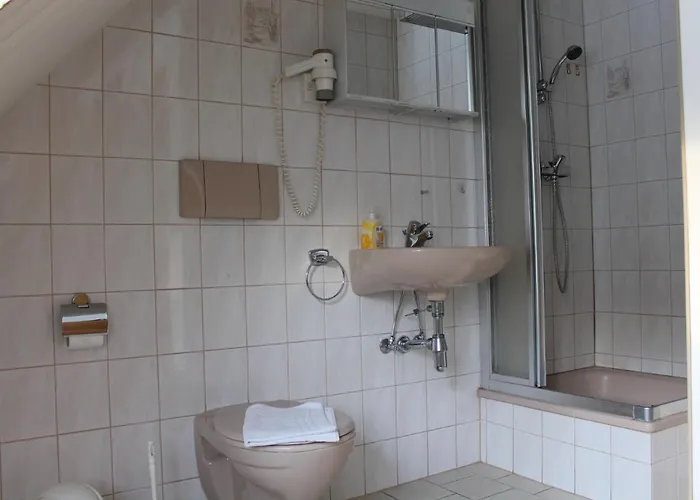 Han/Misafirhane Waldfrieden Elsterberg